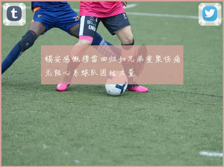 锡安感慨穆雷回归如兄弟重聚伤痛无阻心系球队团结力量